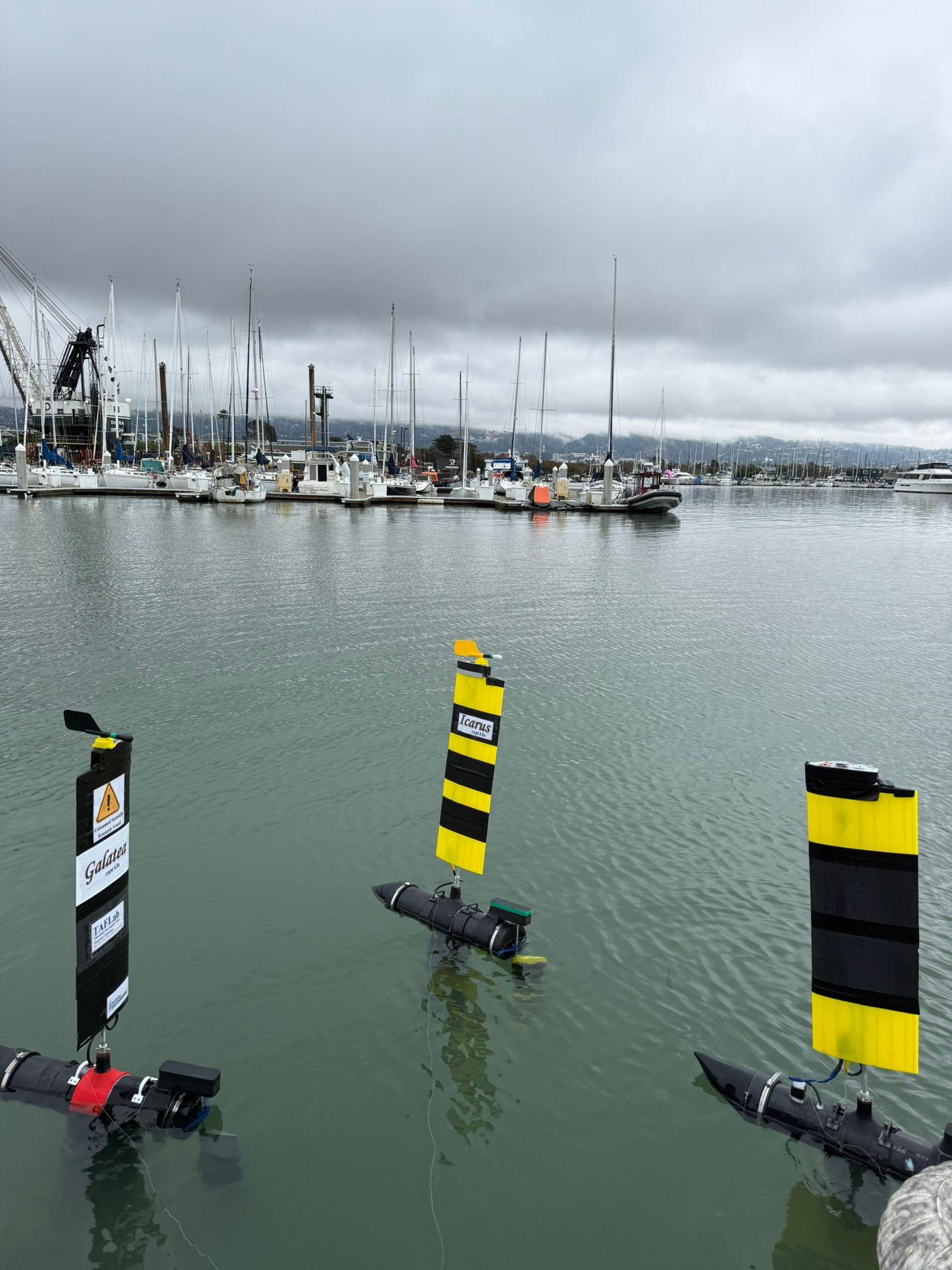 Fleet of autonomous sail drones on the water